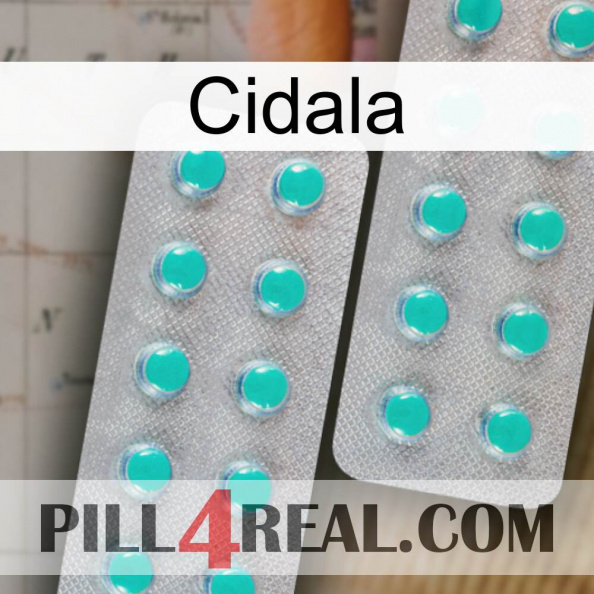 Cidala 29.jpg